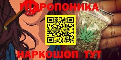 ГАЛЛЮЦИНОГЕННЫЕ ГРИБЫ Бузулук